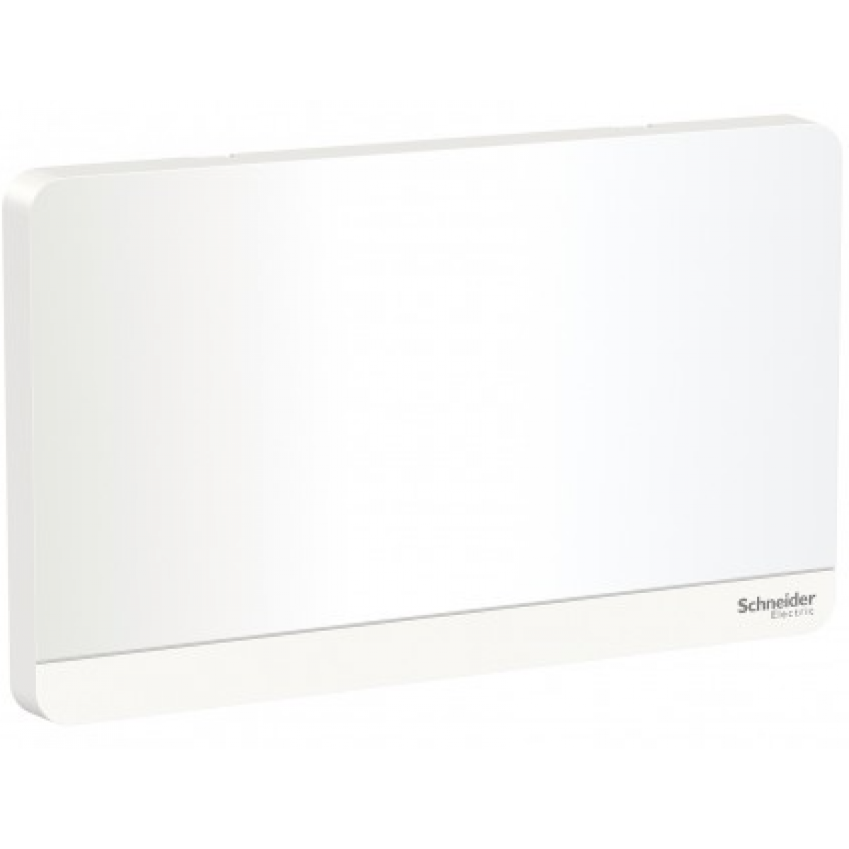 施耐德電氣 AvatarOn 兩位空白掣面 (搪瓷白) - 147x87mm，抗紫外線，PC材質